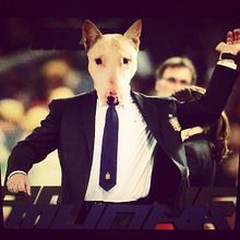 Red and Roses. Un proyecto de UX / UI, Ilustración tradicional y Diseño de Ignacio Gonzalez - 27.04.2013