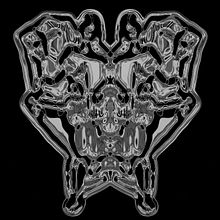 Biophillia: The manual - Björk . % erich_dzbl tarafından hazırlanan Fotoğrafçılık projesi - 05.05.2013
