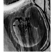 Los Apóstoles de Vladimir  . % erich_dzbl tarafından hazırlanan UX / UI, Ve Fotoğrafçılık projesi - 05.05.2013