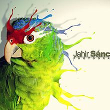 aves. 3D, Design, and Traditional illustration project by Jahir Sánchez - 05.16.2013