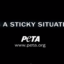 It's a sticky situation. Un proyecto de Publicidad, Cine, vídeo y televisión de Marina Garcia Serra - 13.06.2013