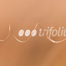 Trifolium. Design project by Gonzalo Dubón Bayarri - 06.24.2013