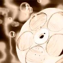 Seminci. Traditional illustration, Motion Graphics, Design, Film, Video, and TV project by JOSE MIGUEL RODRIGUEZ PRIETO - 07.02.2013