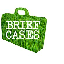 Brief Cases. Publicidade, e Design projeto de Sara Pérez - 03.07.2013