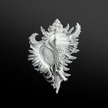 Broken Snails - S.E.. Design project by Igor Uriarte - 07.23.2013