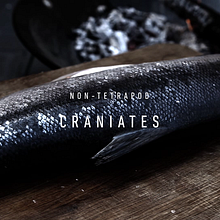 WGA Dokumentarfilm. 3D, Advertising, Film, Video, TV, Design, Motion Graphics, and Music project by Alberto Luque - 07.26.2013