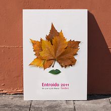 Entroido Ein Projekt aus dem Bereich Design von Bombo Estudio - 09.08.2013