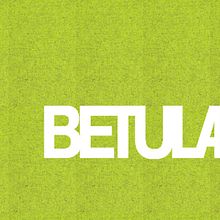 Betula. Design, Furniture Design, and Making project by Laura Alonso Araguas - 06.22.2010