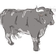 Bull. Traditional illustration project by DAVID GIMENEZ RANEA - 08.31.2013
