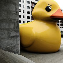 Rubber Ducks. Un progetto di  di Ruben Tresserras - 12.09.2013