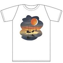 Camiseta. Un proyecto de Diseño e Ilustración tradicional de Estela Calero Varszafski - 14.09.2013
