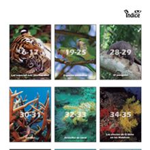 Indice de revista. Un proyecto de Diseño de Estela Calero Varszafski - 13.09.2013