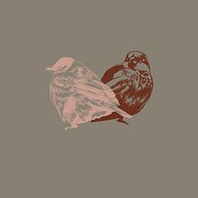Wander Birds: t-shirt. Projekt z dziedziny Design, Trad, c i jna ilustracja użytkownika Elisa de la Torre - 18.09.2013