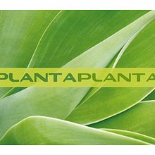 Plantaplanta. Un proyecto de Diseño de Alberto Torralba García - 20.09.2013