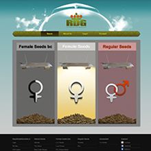 Página Web | RoyalDutchGenetics.nl. Un proyecto de Diseño y Programación de Juan Miguel Yera Pardo - 22.09.2013