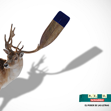 Zinkproject Gráficas. Design, Photograph, Advertising, and Traditional illustration project by Ruth Marigil - 09.26.2013