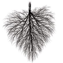 .. Un progetto di Design, Fotografia, 3D e Illustrazione tradizionale di veg - 08.10.2013