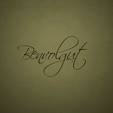 BENVOLGUT - Kinetic typography. Motion Graphics, Film, Video, and TV project by Clara Sagarra Valls - 10.11.2013