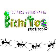 Bichitos. Un proyecto de Diseño e Ilustración tradicional de Cristina Fernández - 15.10.2013