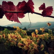 La casa de Lúculo. Projekt z dziedziny Design, Fotografia,  Reklama, Kino, film i telewizja,  Muz i ka użytkownika Artur Bardavío - 14.11.2013