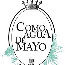 Web Como Agua de Mayo. Un proyecto de Diseño, Fotografía, Motion Graphics, Programación, Publicidad e Ilustración tradicional de ORIOL SENDRA PLANELLÓ - 15.11.2013