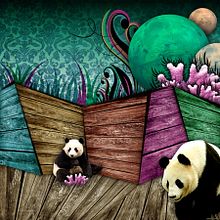 pandas. Design, Photograph, and Traditional illustration project by elena vera - 11.17.2013