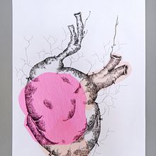 Under the skin. Traditional illustration project by Floriane Jambu - 11.18.2013