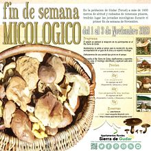 Jornadas Micologicas Gúdar. Design, Traditional illustration, and Advertising project by Elena Doménech - 11.27.2013