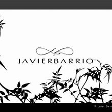 Javier Barrio. Design, Motion Graphics, and Programming project by Alberto Bugallo Fernández - 11.27.2013