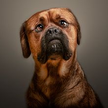 Aesthetics Ein Projekt aus dem Bereich Fotografie von Santos Román - 29.11.2013