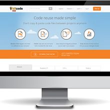 Biicode. Un proyecto de Diseño, Informática, UX / UI, Diseño Web y Desarrollo Web de Jorge Combalia - 19.07.2014