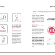 Maquetación y diseño de catálogo de servicios de Simettric. Design, and Traditional illustration project by Izaskun Sáez - 12.07.2013