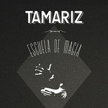 Escuela de Magia TAMARIZ. Un proyecto de Diseño de NAYF - 08.12.2013