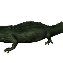 3D crocodile mudbox Ein Projekt aus dem Bereich Design und 3D von Alba Écija - 14.12.2013