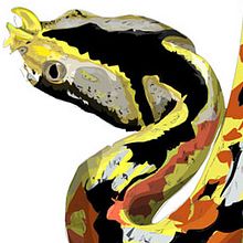 zoo bamako # mali / reptiles. Traditional illustration project by david garcía - 12.16.2013