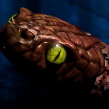 Jiraiya Goketsu Monogatari Zbrush. 3D project by Abraham Campillo Iglesias - 12.19.2013