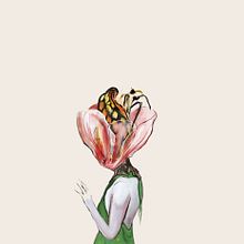 mariposa. Traditional illustration project by Nori Kobayashi Seki - 12.23.2013