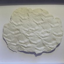 Simulacros: naturaleza. Ein Projekt aus dem Bereich Design und Traditionelle Illustration von pcarpena - 27.12.2013