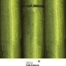 Diseño de Envase para Caña Criolla.. Un progetto di Design, Pubblicità e 3D di Polenta! - 02.01.2014