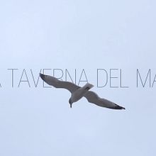 La Taverna del Mar. Advertising, Motion Graphics, Film, Video, and TV project by Gonzalo Dubón Bayarri - 01.02.2014
