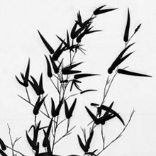 Sumi-e. Un proyecto de Ilustración tradicional de Roberto Arróniz Velázquez - 08.01.2014