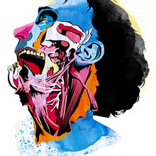 Anatomía. Traditional illustration project by Alvaro Tapia Hidalgo - 11.30.2013