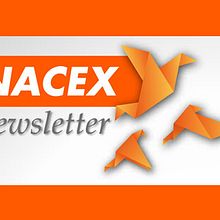 Newsletters Nacex (2012). Design project by Alejandra Marín Garibay - 04.30.2012