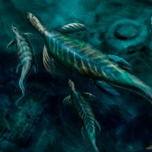 the Loch Ness monster. Un proyecto de Diseño, Ilustración tradicional y Publicidad de Juan Heber Castillo Orduña - 15.01.2014