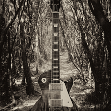 Music of Nature. Un proyecto de Diseño de IVAN GARCIA PEREZ - 19.01.2014
