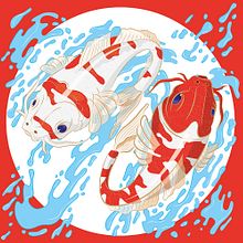 AnimalCo - KOI. Traditional illustration project by Noem9 Studio - 10.29.2014