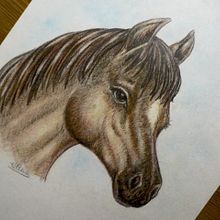 Dossier Caballos, curso Hípica Domeño.. Traditional illustration, and Advertising project by Elena Doménech - 01.24.2014