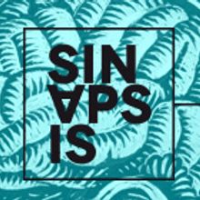SINAPSIS STUDIO. Br, ing, Identit, Art Direction, and Design project by Cecilia De Jorge - 01.29.2014
