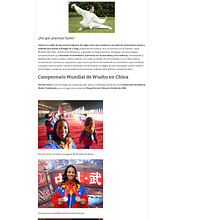 Taichi en Caracas. Web Development project by Leonardo Jesús Coronel Perete - 05.09.2013