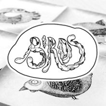 Wasara Birds. Un proyecto de Ilustración tradicional de Rodolfo Biglie - 30.01.2014